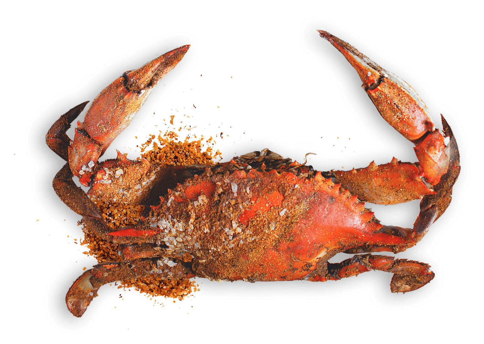 Medium/Large Male Maryland Crabs (Bushel) - Jimmys Famous Seafood